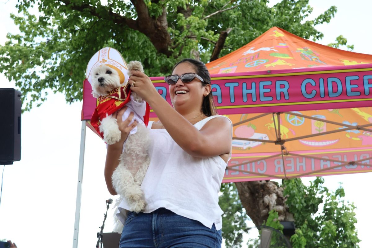 Furry and fashionable: Dogs strut fashion show runway to benefit local puppy rescue