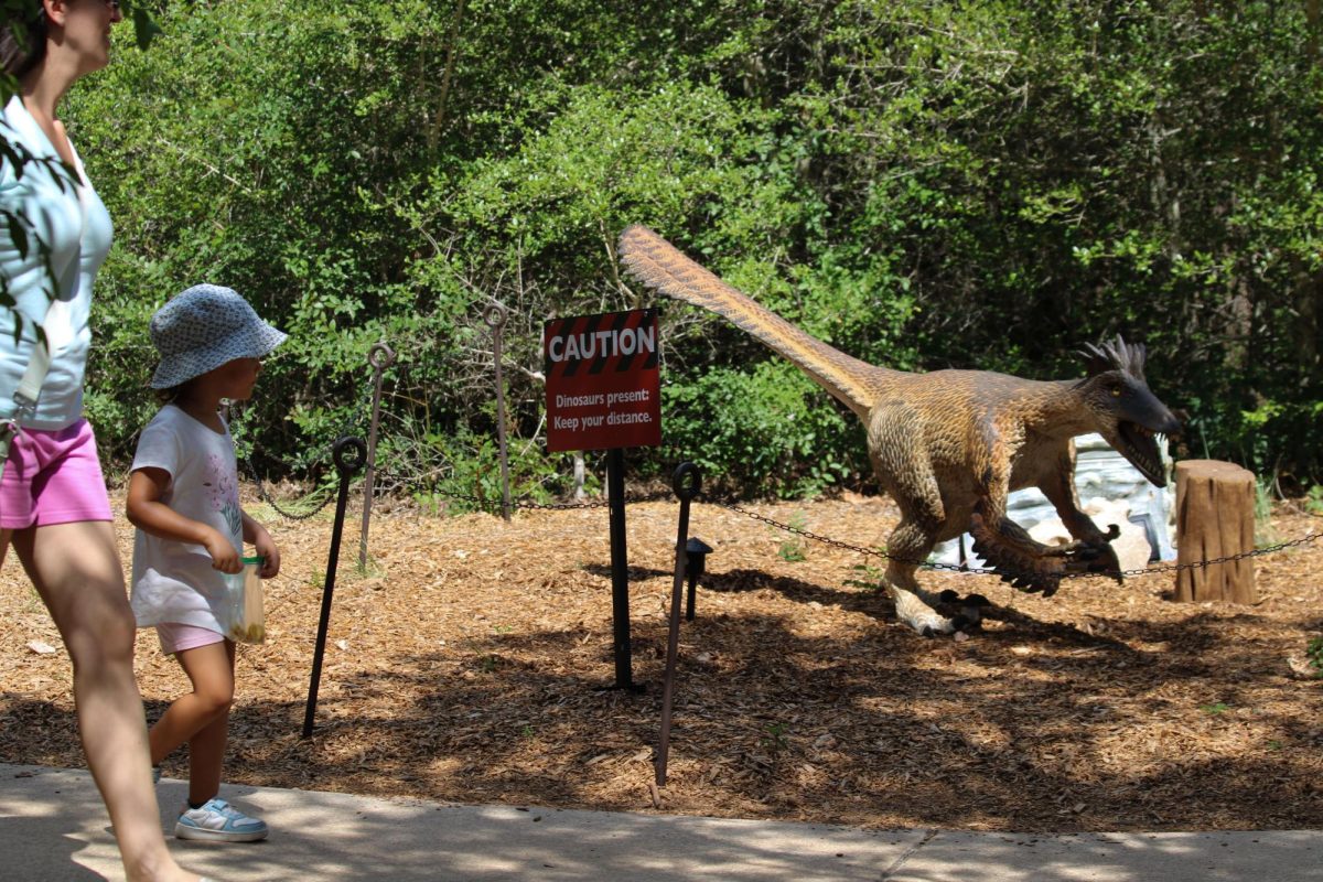 Visitors at the Ladybird Johnson Wildlife Center admire wild dinosaur robots on June 26, 2025. 